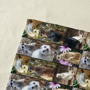Meerkat Photo Collage, Beach Towel