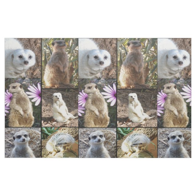 Meerkat Photo Collage Combed Cotton Material Fabric (Yard)