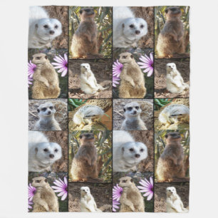 Meerkat Photo Collage,Large Fleece Blanket. Blanket