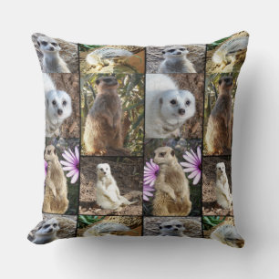 Meerkat Photo Collage, Large Throw Cushion. Cushion