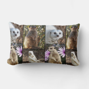 Meerkat Photo Collage, Lumbar Cushion. Cushion