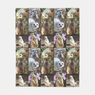 Meerkat Photo Collage, Medium Fleece Blanket.