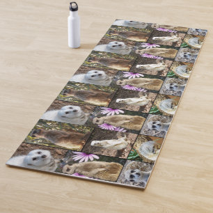Meerkat Photo Collage, Reversible Yoga Mat