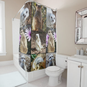 Meerkat Photo Collage, Shower Curtain