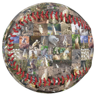 Meerkat Photo Collage, Softball
