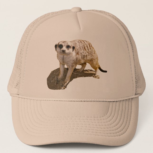 Meerkat Picture Trucker Hat (Front)