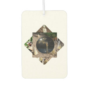 Meerkat Polyscope,  Car Air Freshener