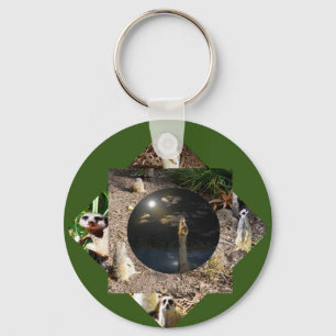 Meerkat Polyscope, Keyring