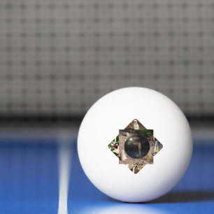 Meerkat Polyscope,  Ping Pong Ball