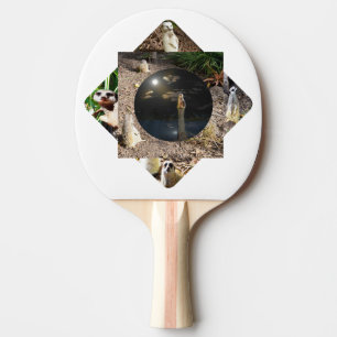 Meerkat Polyscope,  Ping Pong Paddle