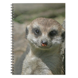 Meerkat-portrait 003 notebook