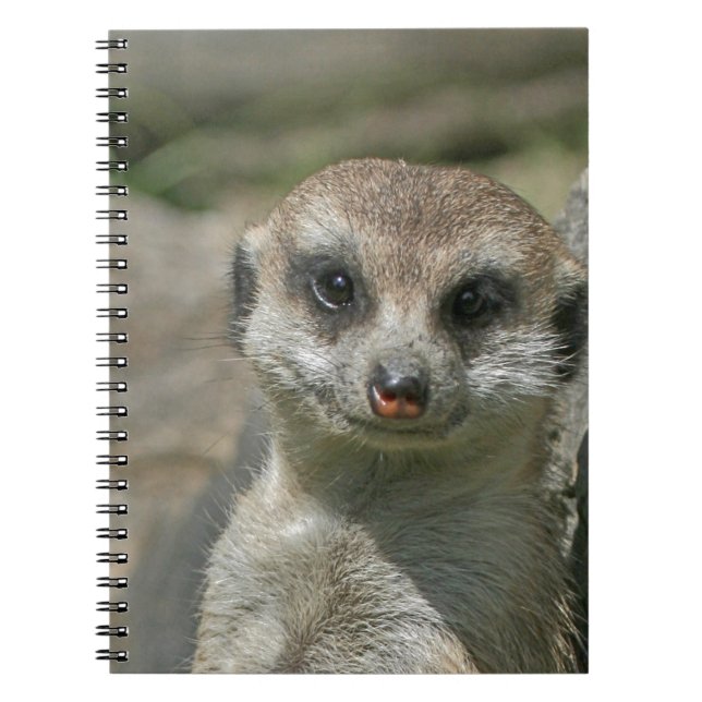 Meerkat-portrait 003 notebook (Front)