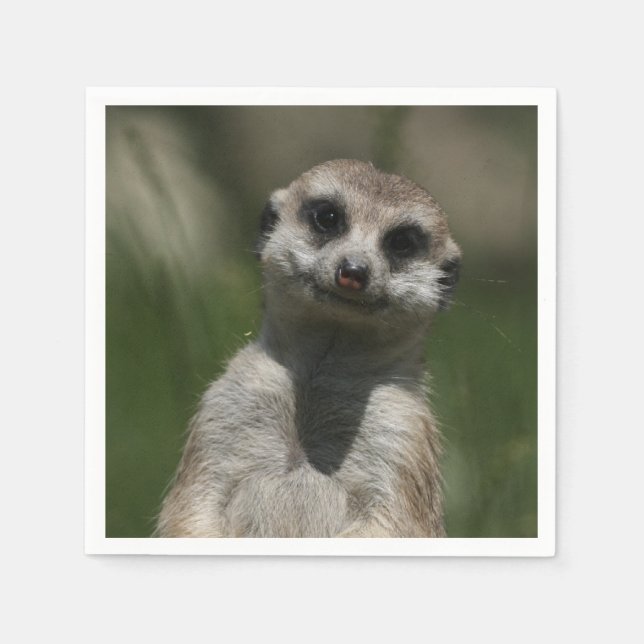 Meerkat-Portrait 004 Napkin (Front)