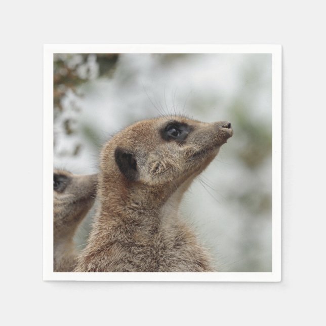 Meerkat-Portrait 005 Napkin (Front)