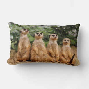 Meerkat-Quartett 001 Lumbar Cushion