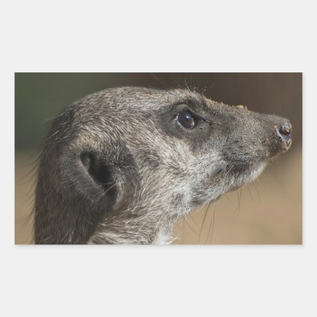 Meerkat Rectangular Sticker (Front)