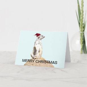 Meerkat Santa Holiday Card