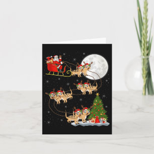 Meerkat Santa Sleigh Flying Funny Magical Christma Card