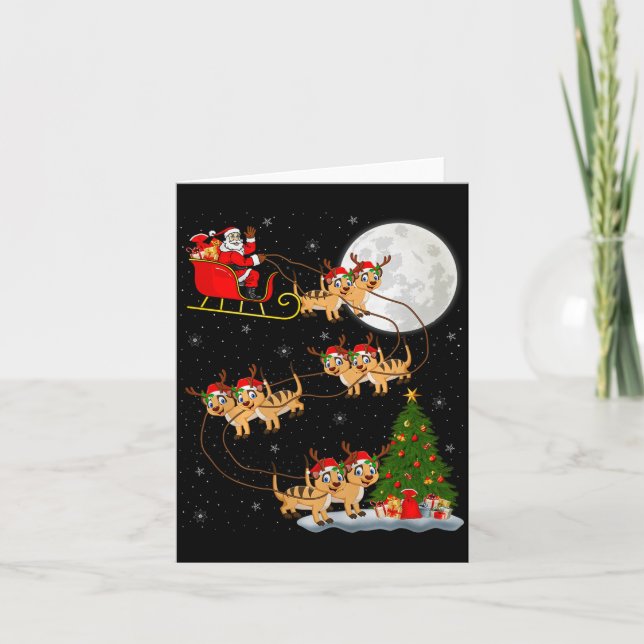 Meerkat Santa Sleigh Flying Funny Magical Christma Card (Front)