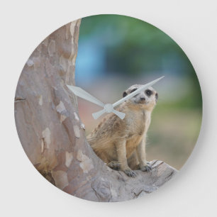 Meerkat Sat on Tree Large Clock