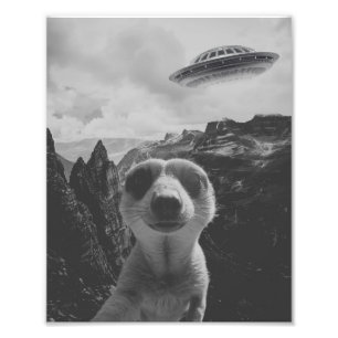 Meerkat Selfie In A Mountain Landscape Surrealist Photo Print