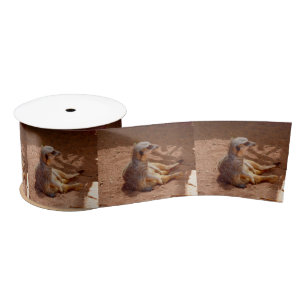 Meerkat Sitting Photography, Satin Ribbon