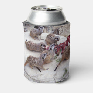 Meerkat Snack Time, Stubby Cooler. Can Cooler
