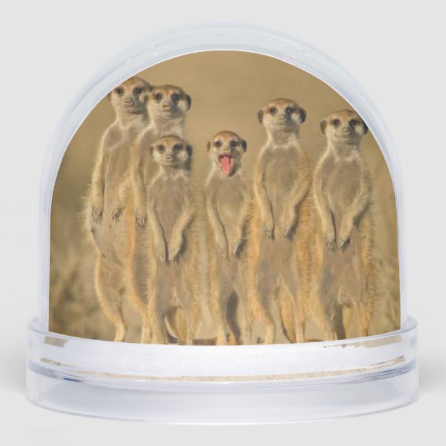 Meerkat  snowglobe (Front)