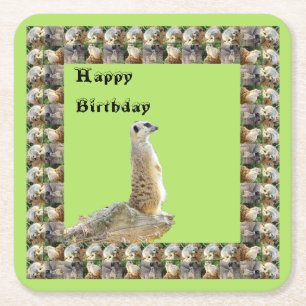 Meerkat Square Birthday Paper Coasters, Square Paper Coaster