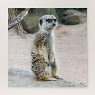 meerkat stand jigsaw puzzle