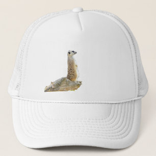 Meerkat, Standing On Rocky Ledge, Trucker Hat