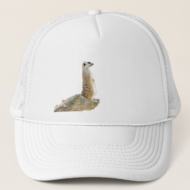 Meerkat, Standing On Rocky Ledge, Trucker Hat (Front)
