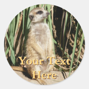 Meerkat Stickers