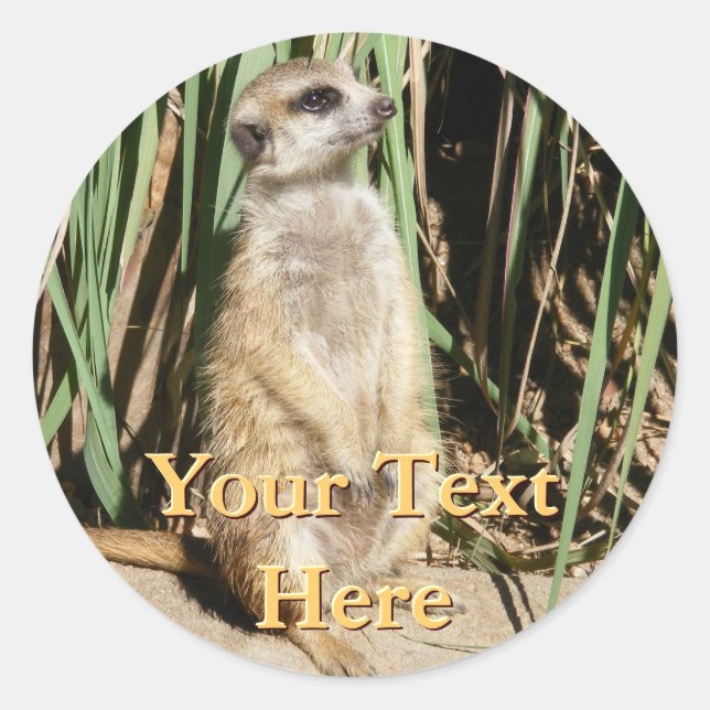 Meerkat Stickers (Front)