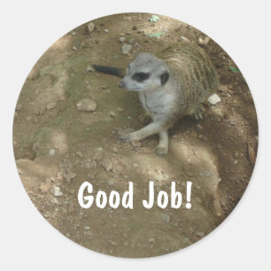Meerkat Stickers