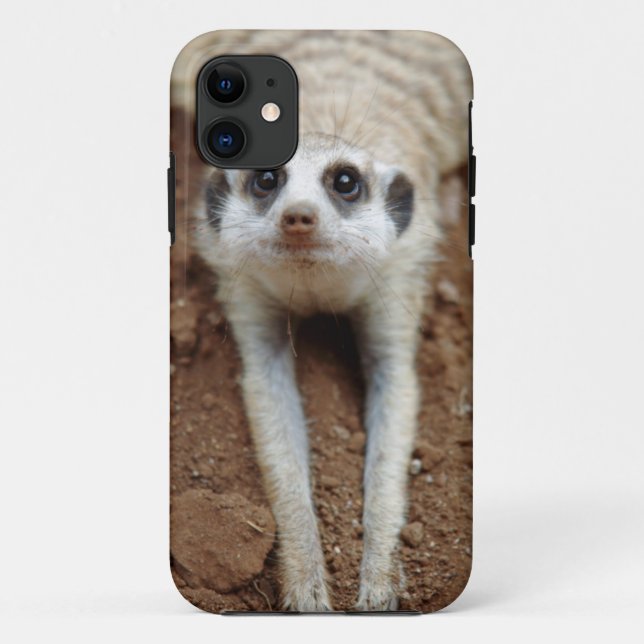 Meerkat (Suricata Suricatta) Cooling Down Case-Mate iPhone Case (Back)