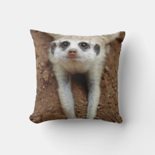 Meerkat (Suricata Suricatta) Cooling Down Cushion