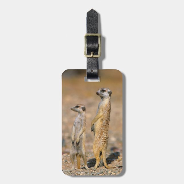 Meerkat (Suricata Suricatta) Sentinels, Karas Luggage Tag (Front Vertical)
