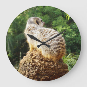 Meerkat Surveying The Greenery, Large Clock