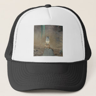 Meerkat Trucker Hat
