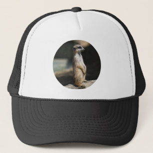 Meerkat Trucker Hat