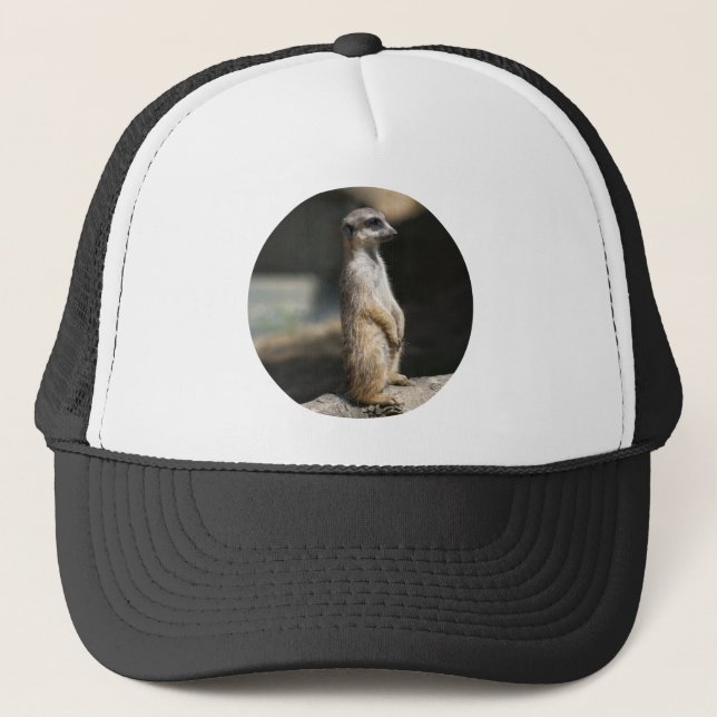 Meerkat Trucker Hat (Front)