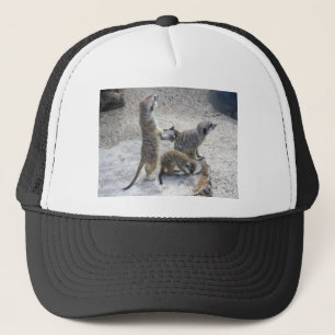 Meerkat Trucker Hat
