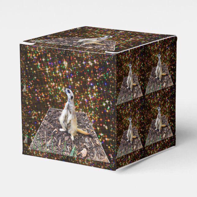 Meerkat Twinkle Stars, Favour Box (Front Side)