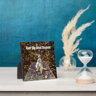 Meerkat Twinkle Stars, Photo Plaque