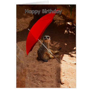 Meerkat Under Umbrella, Birthday Card