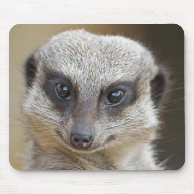 Meerkat Up Close Mouse Pad (Front)