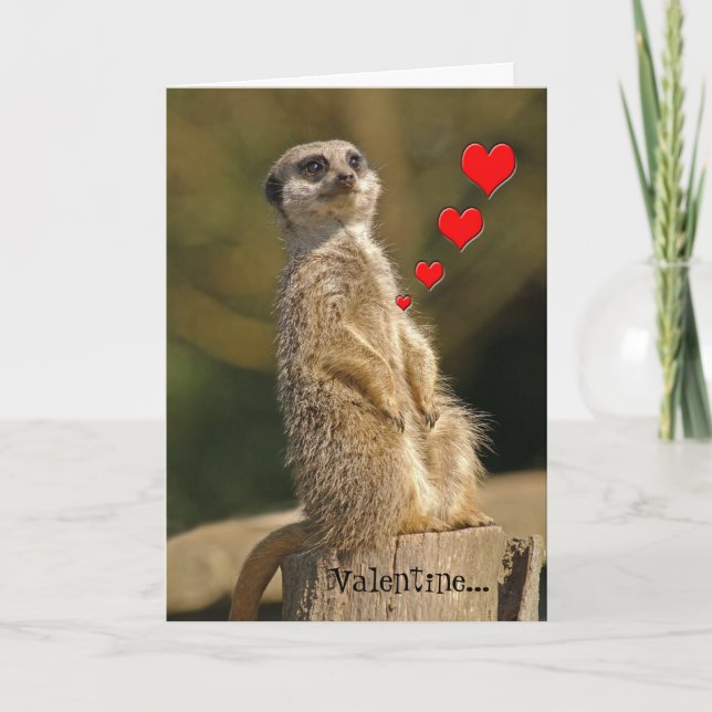Meerkat Valentine Card 007 (Front)