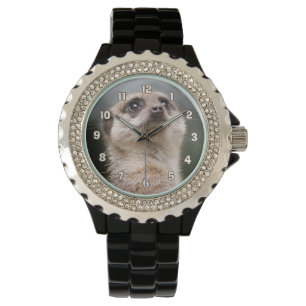 Meerkat Watch