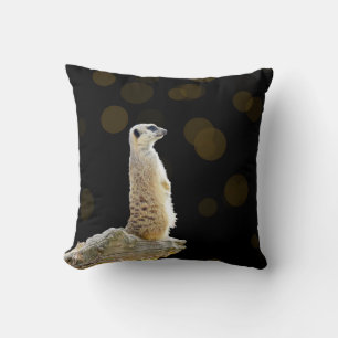 Meerkat When The Night Falls, Cushion